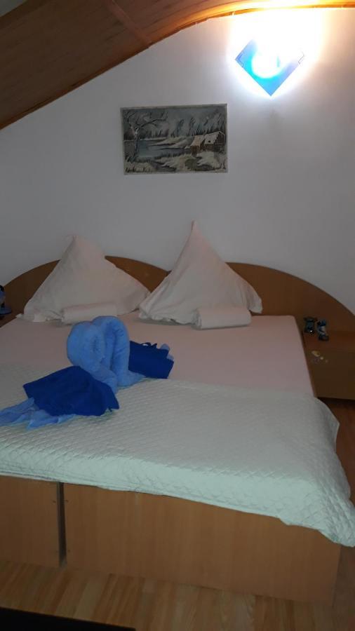 Hotel Casa Silvia à Eforie Nord Extérieur photo
